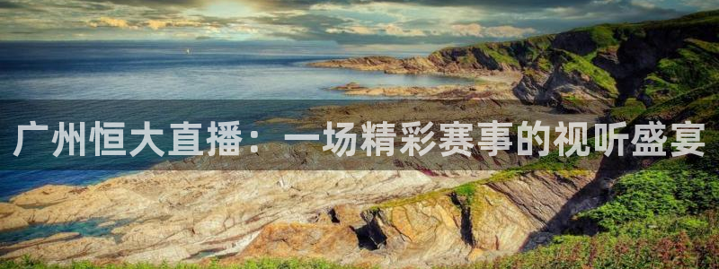 袋鼠直播体育app